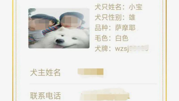 杭州萨摩耶办理狗证全流程指南