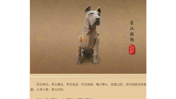 南京土狗:忠诚守护者的城市记忆