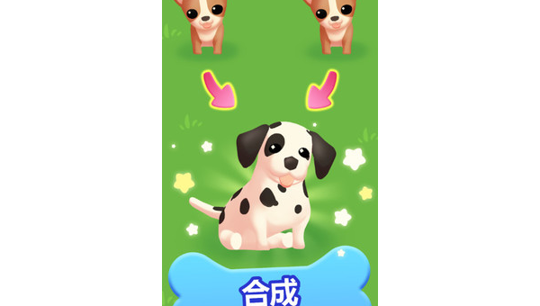 土狗变身萌宠:普通人如何将田园犬养成家庭宝贝