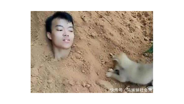 网友抱回小土狗暖心故事:从流浪到被宠爱